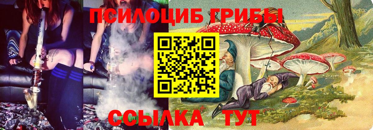 Галлюциногенные грибы Magic Shrooms Кондопога