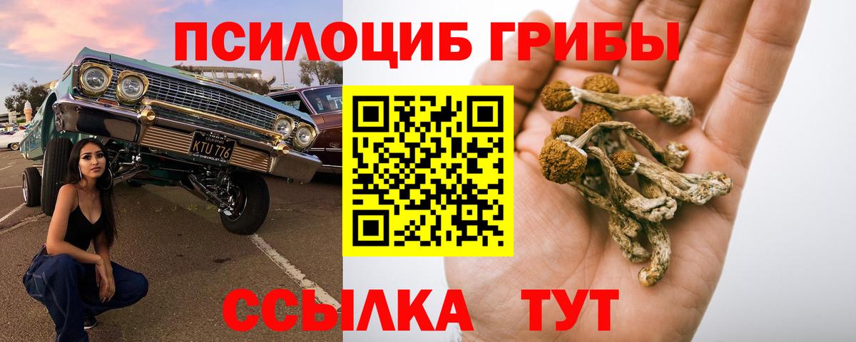 Псилоцибиновые грибы мухоморы  Вход с VPN  Кондопога 